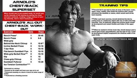 arnold schwarzenegger back workout routine